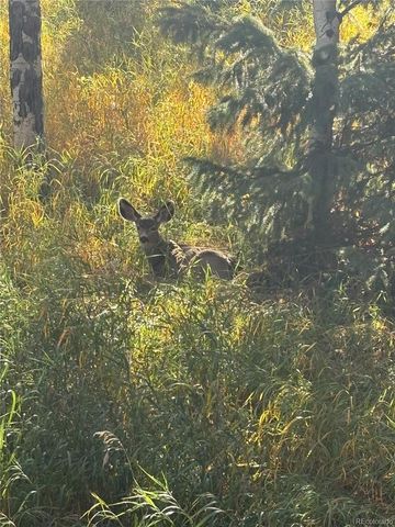 a picture of a bathroom with a white wall