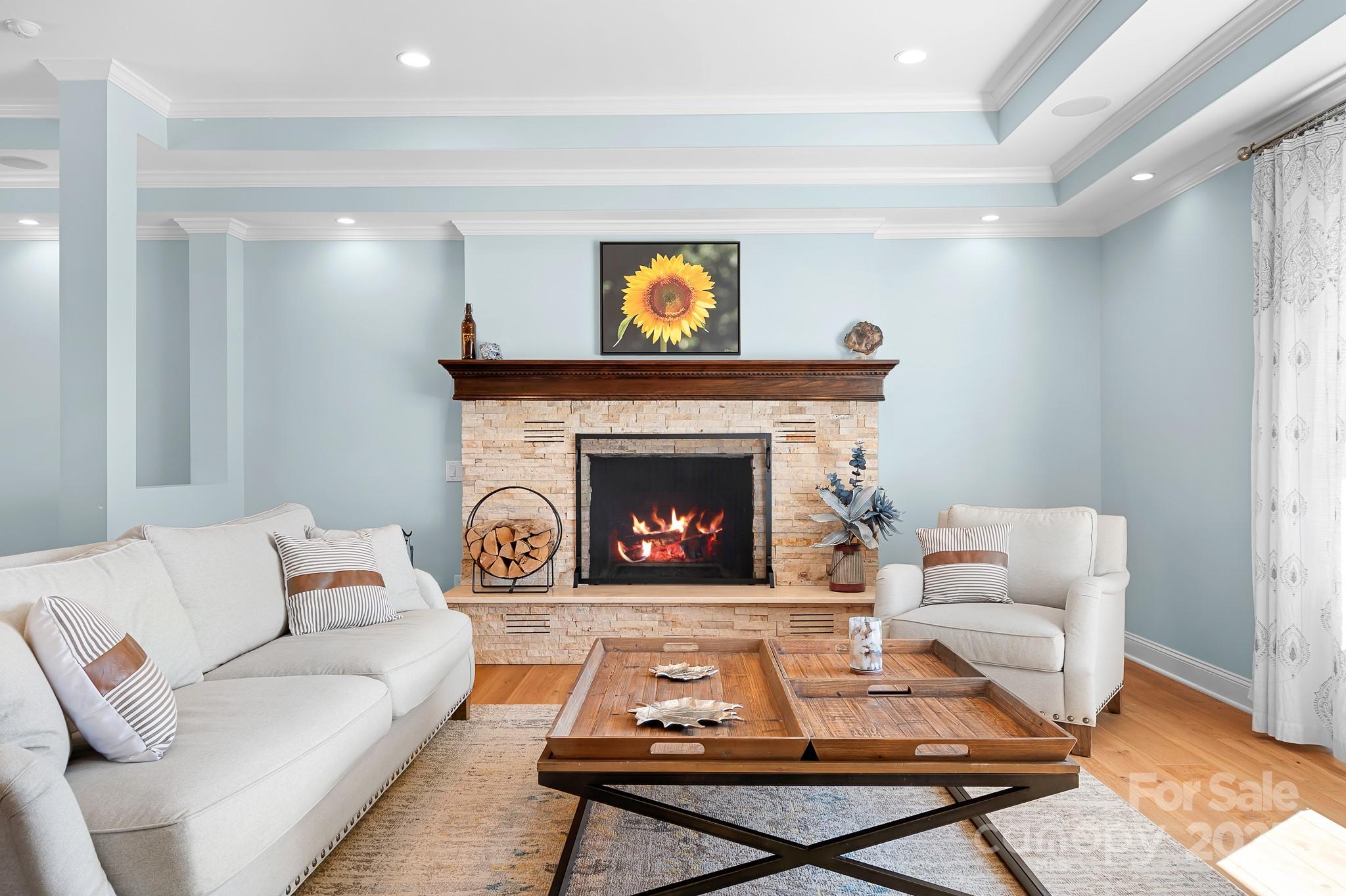19320 Davidson-Concord Road Davidson, NC 28036 - Photo 6 of 33 a living room with furniture a rug and a fireplace
