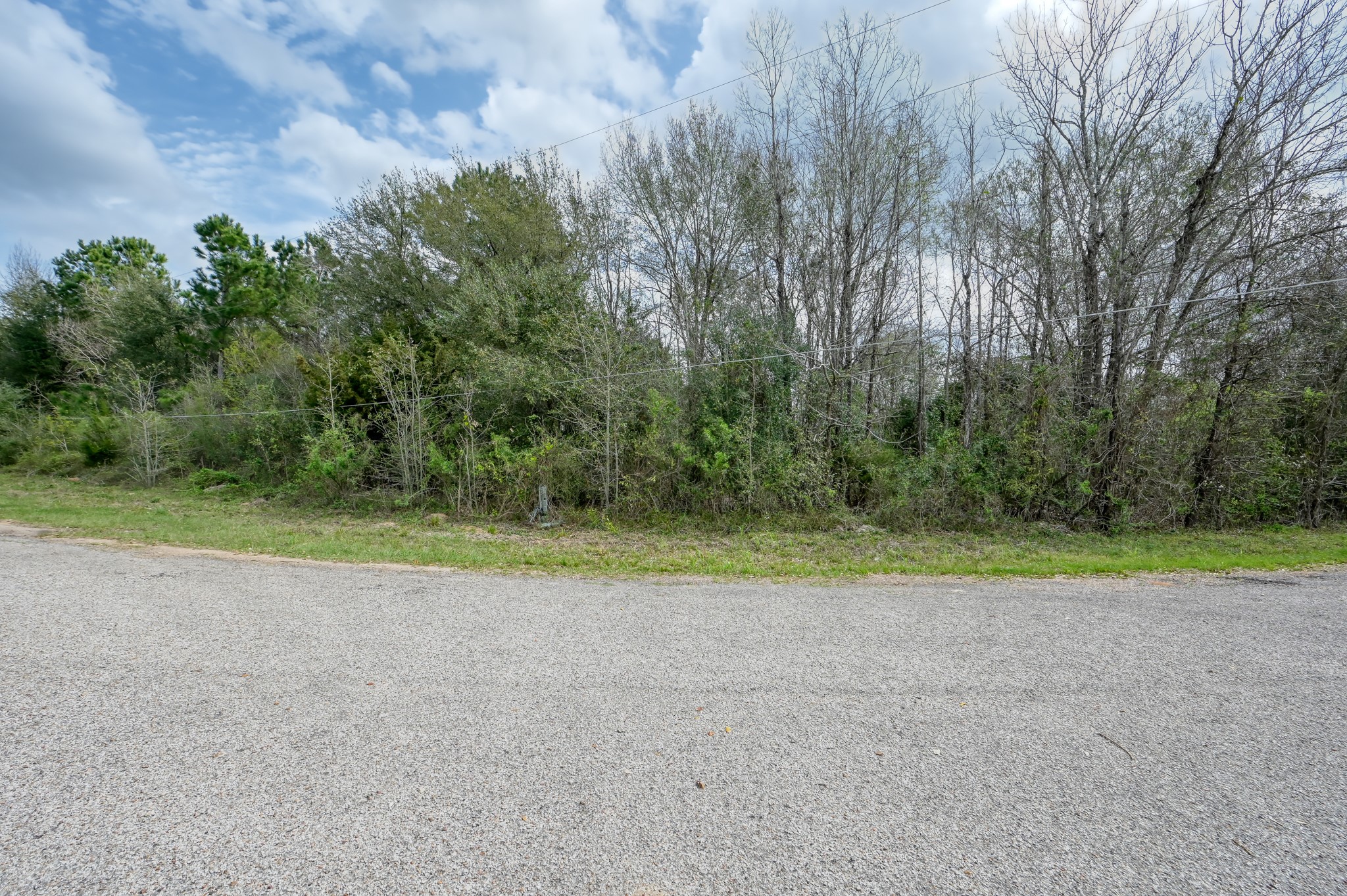 Tbd Tbd Windswept Way Willis, TX 77318 - Photo 6 of 14