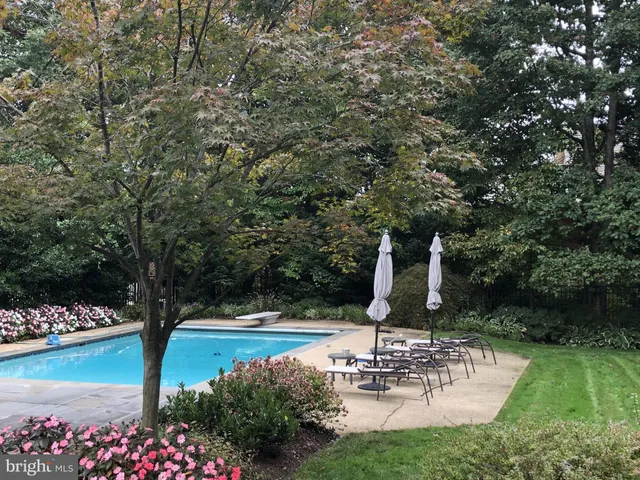a view of a swimming pool with a patio and a garden