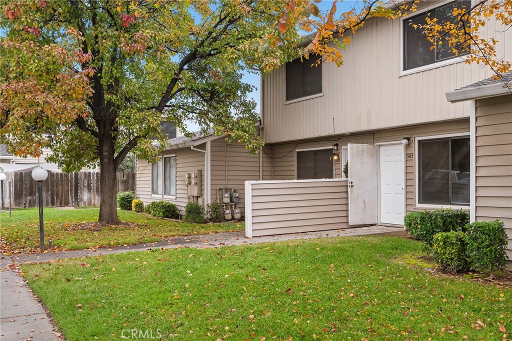 a backyard of a house with plants and large tree