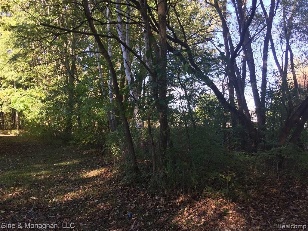 7010 Trumble Road St. Clair, MI 48079 - Photo 56 of 59 56.JPG