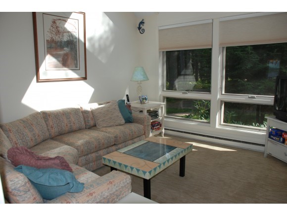15 Point Breeze Road, Unit 15 Wolfeboro, NH 03894 - Photo 8 of 21