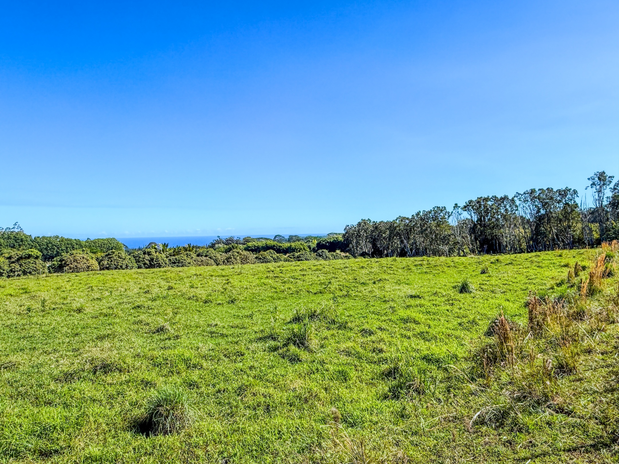 29-613 Lot Road Papaikou, HI 96781 - Photo 9 of 14 a view of a green field with wooden fence
