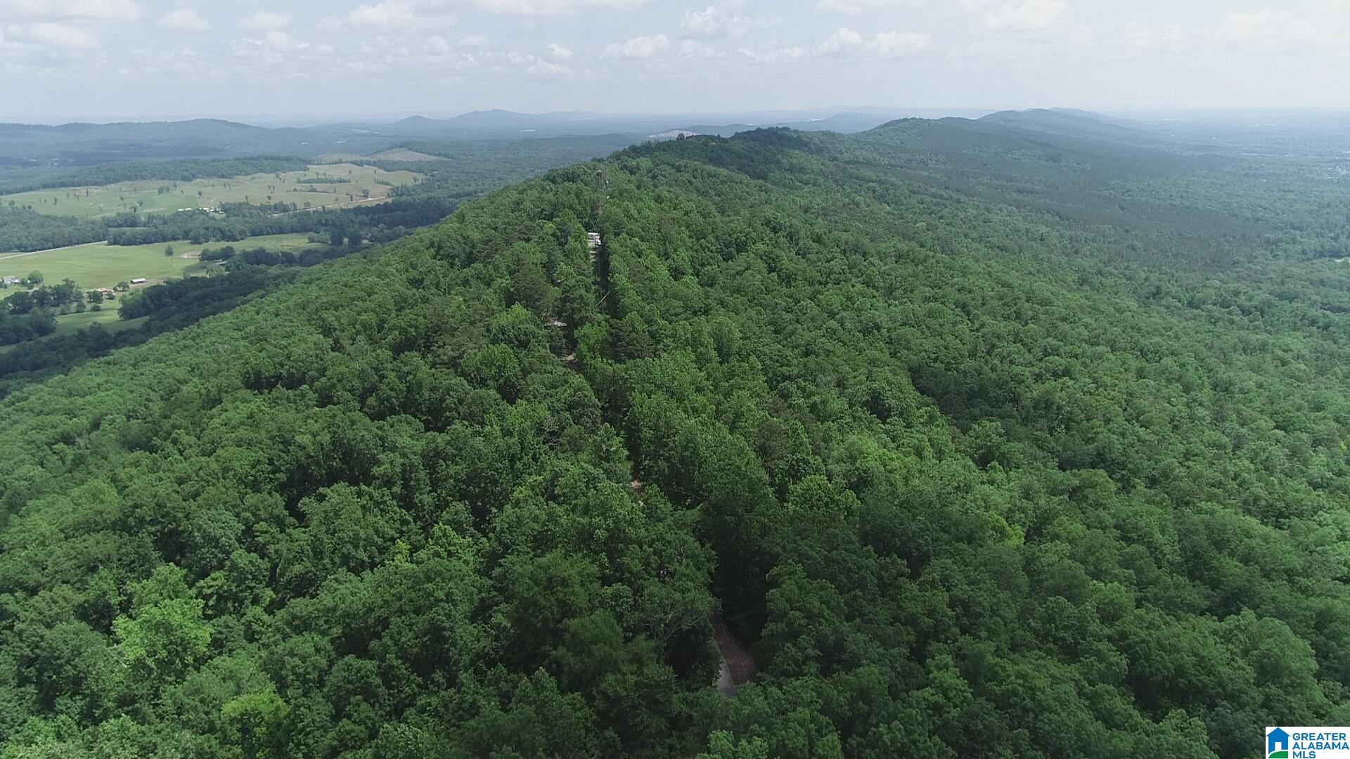 0 Beaver Mountain Road, Unit 38 ACRES Ashville, AL 35953 - Photo 2 of 4