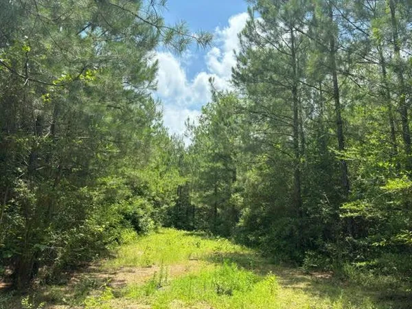 $576,800 | 0 East Lewiston Road, Kentwood, LA 70444