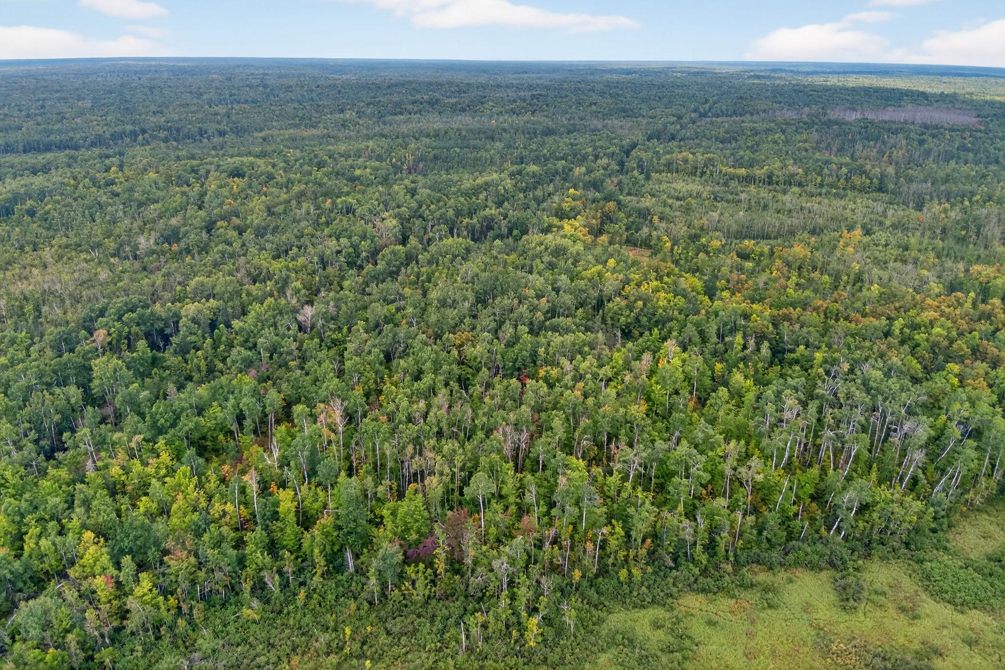 64838 Kingsdale Road Sandstone, MN 55072 - Photo 11 of 23 Gallery Image 11