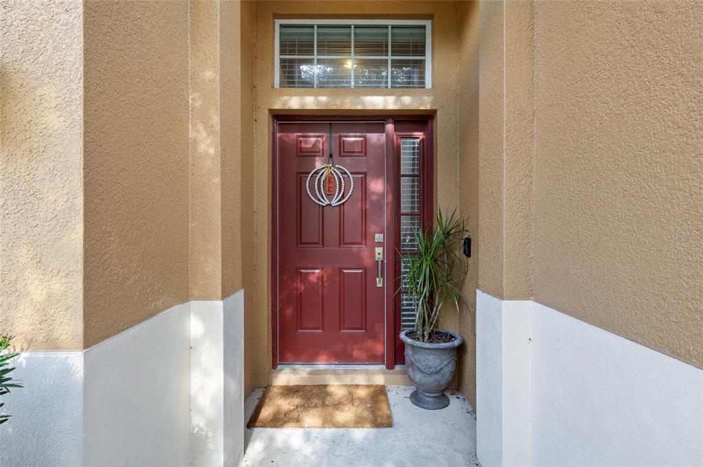 17425 New Cross Circle Lithia, FL 33547 - Photo 2 of 56