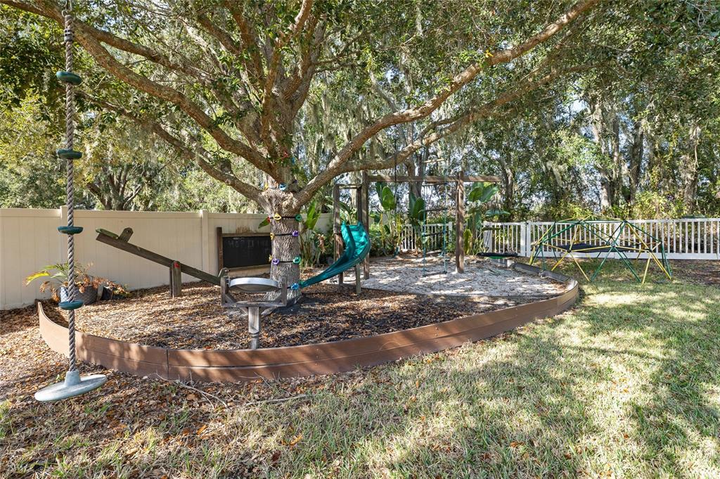 17425 New Cross Circle Lithia, FL 33547 - Photo 39 of 56