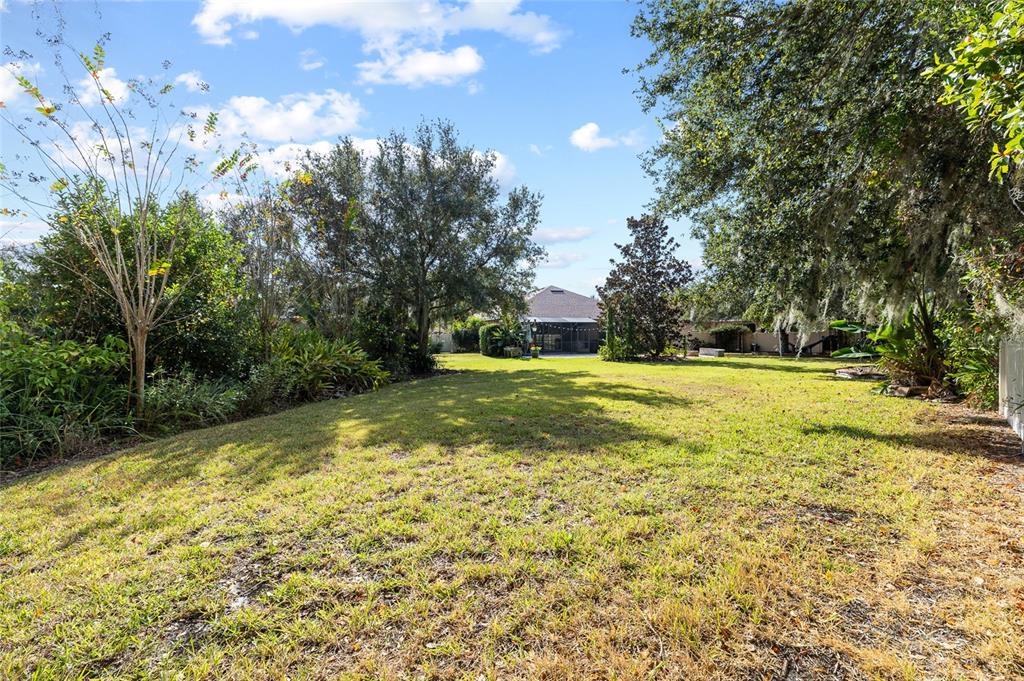 17425 New Cross Circle Lithia, FL 33547 - Photo 43 of 56