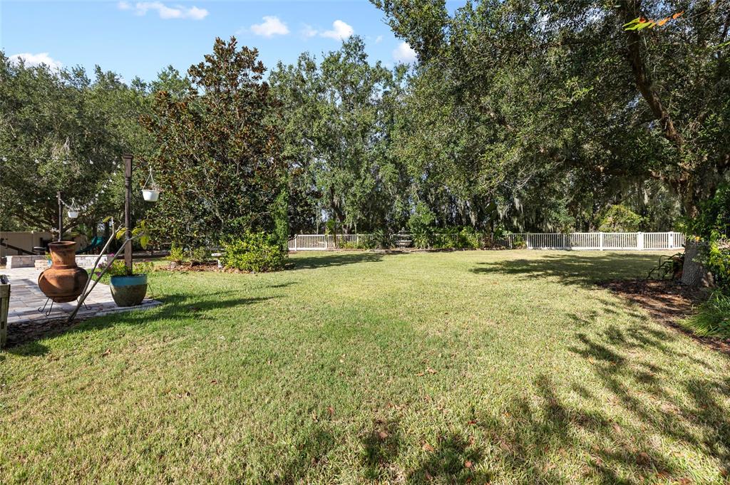 17425 New Cross Circle Lithia, FL 33547 - Photo 45 of 56