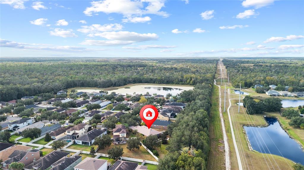 17425 New Cross Circle Lithia, FL 33547 - Photo 54 of 56