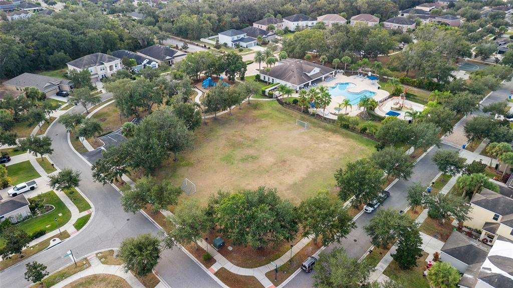 17425 New Cross Circle Lithia, FL 33547 - Photo 56 of 56