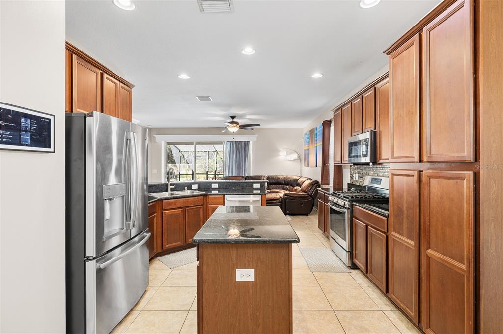 17425 New Cross Circle Lithia, FL 33547 - Photo 8 of 56