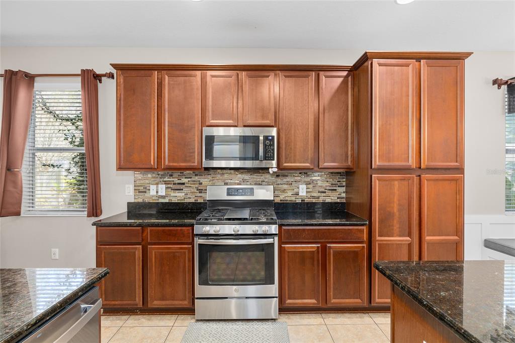 17425 New Cross Circle Lithia, FL 33547 - Photo 10 of 56