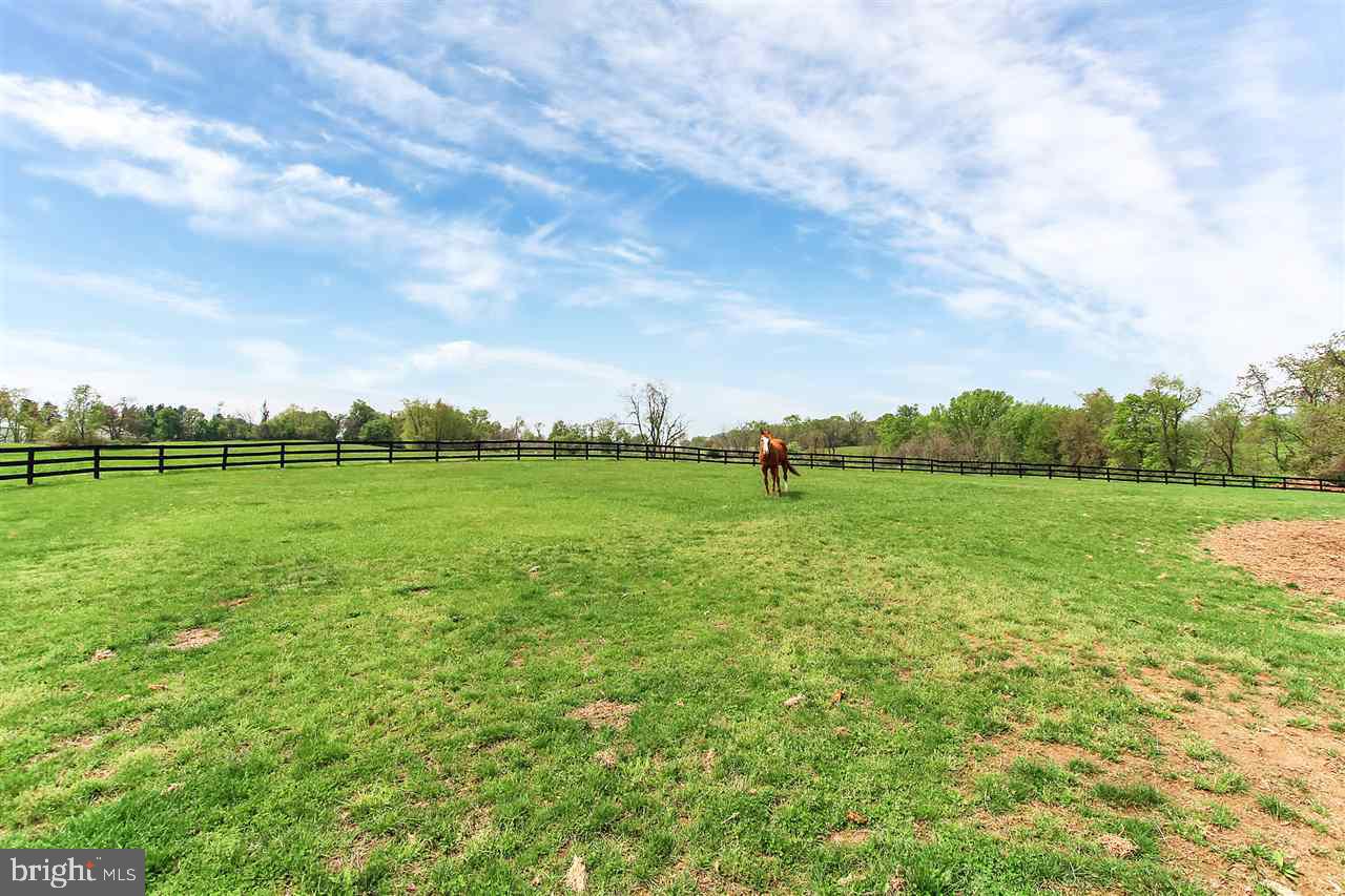 3640 Raintree Road York, PA 17404 - Photo 26 of 36 Gallery Image 26