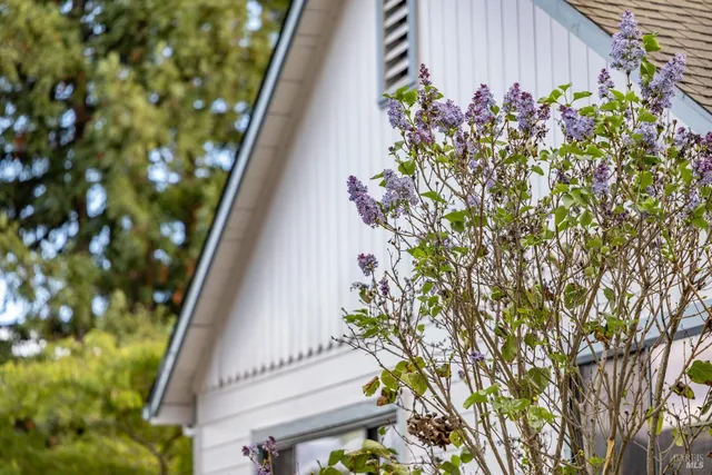 $1,145,000 | 377 Maple Avenue, Cotati, CA 94931