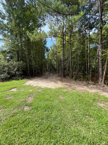 $99,000 | Lot 7 Wisteria Falls Trail, St. Stephen, SC 29479
