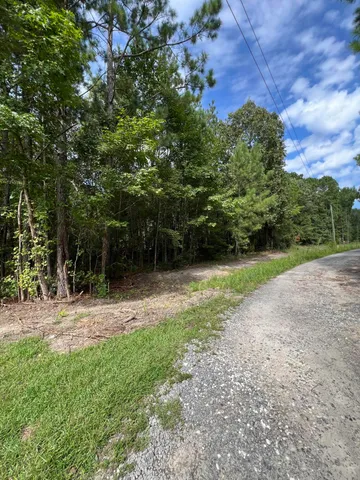 $99,000 | Lot 7 Wisteria Falls Trail, St. Stephen, SC 29479