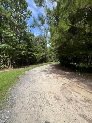 $99,000 | Lot 7 Wisteria Falls Trail, St. Stephen, SC 29479