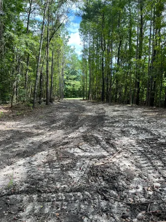 $99,000 | Lot 7 Wisteria Falls Trail, St. Stephen, SC 29479