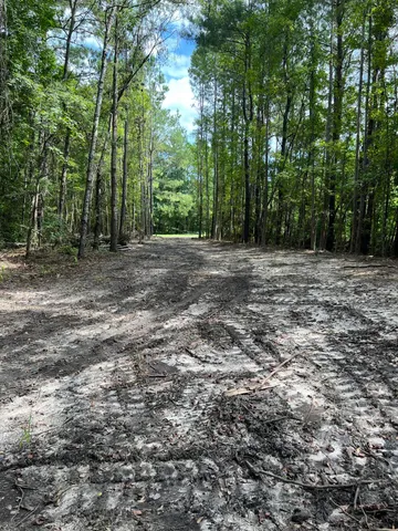 $99,000 | Lot 7 Wisteria Falls Trail, St. Stephen, SC 29479