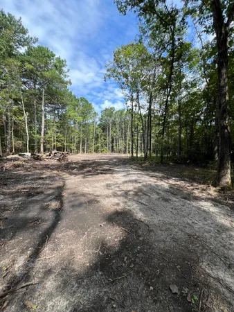 $99,000 | Lot 7 Wisteria Falls Trail, St. Stephen, SC 29479