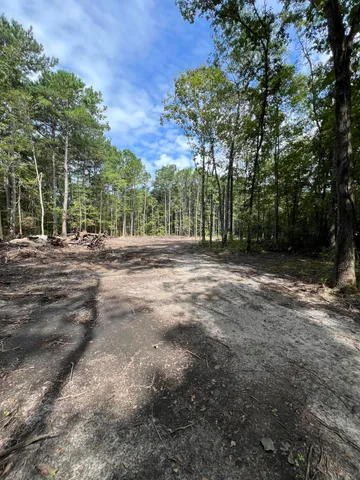 $99,000 | Lot 7 Wisteria Falls Trail, St. Stephen, SC 29479