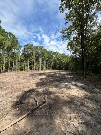 $99,000 | Lot 7 Wisteria Falls Trail, St. Stephen, SC 29479