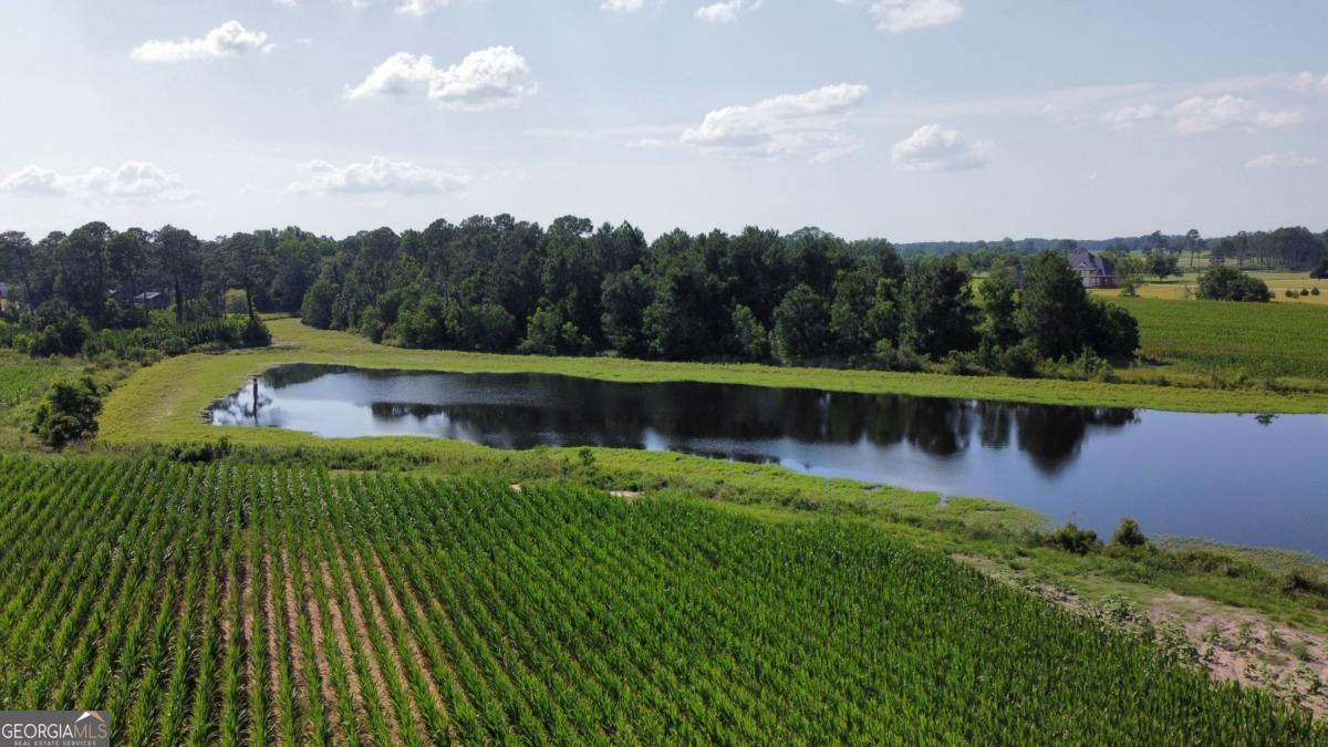 0 Belflower Road Tifton, GA 31794 - Photo 11 of 13