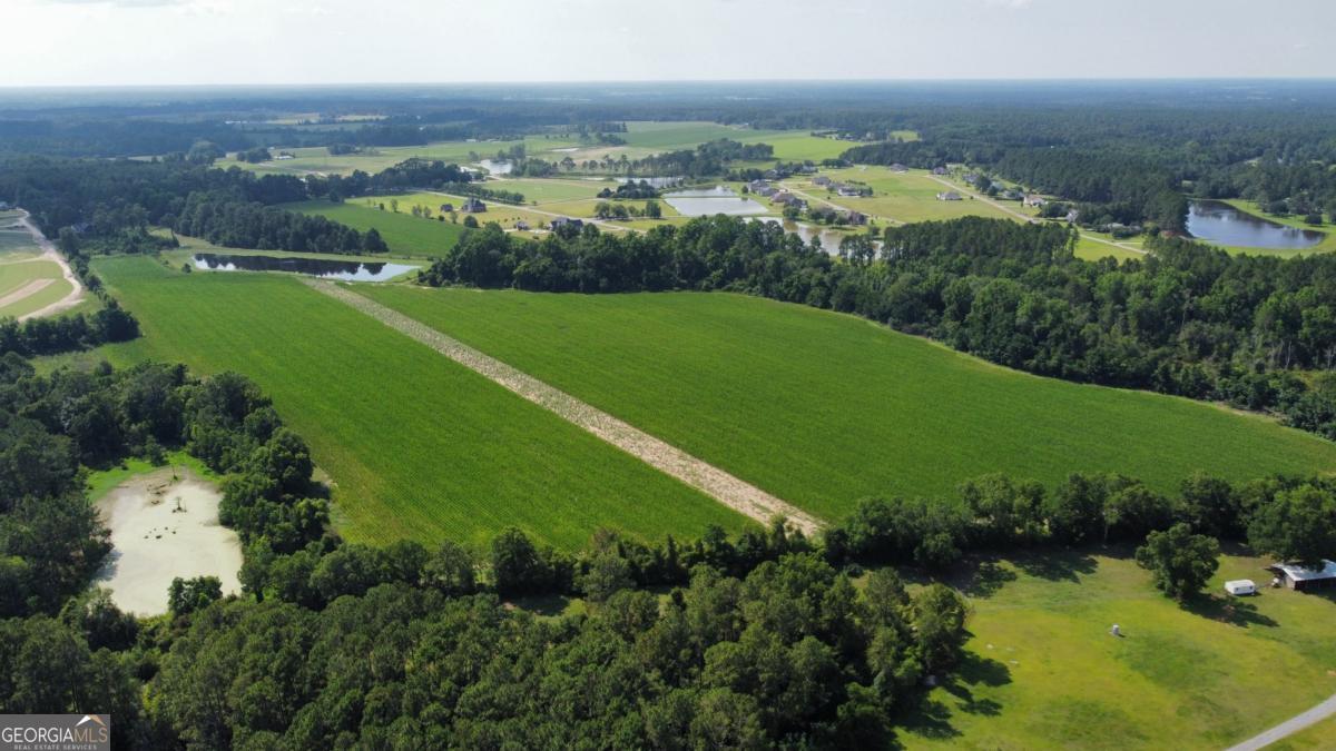 0 Belflower Road Tifton, GA 31794 - Photo 13 of 13