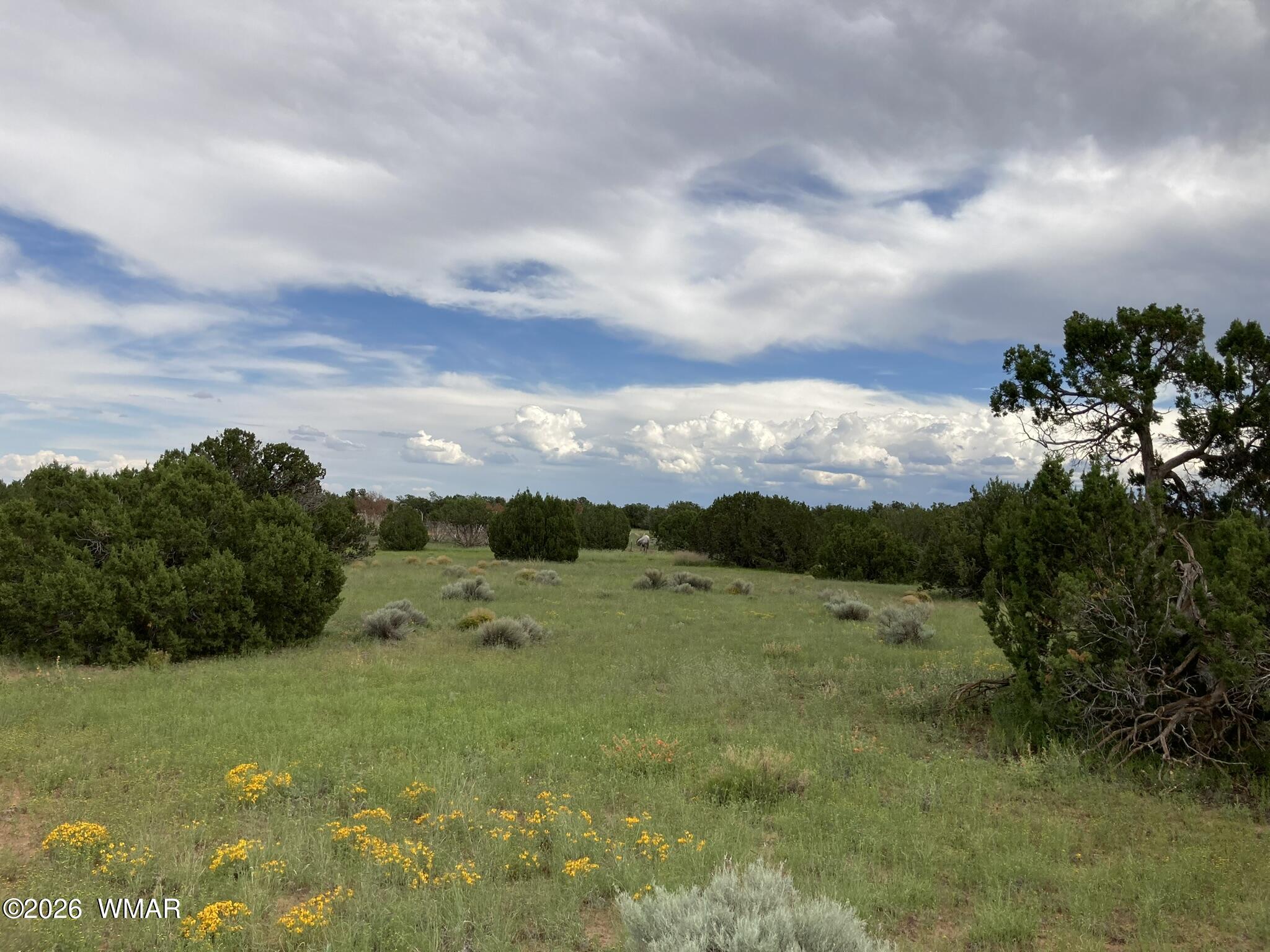 4979 Tharp Road Snowflake, AZ 85937 - Photo 19 of 19