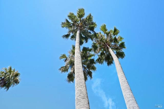 a view of a flower in a flower