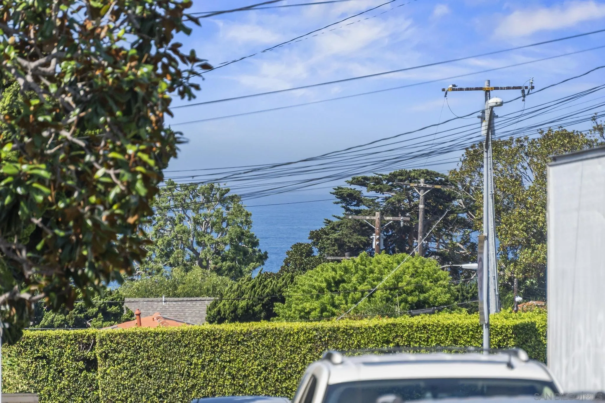607 Arenas Street La Jolla, CA 92037 - Photo 24 of 37 a view of a garden with plants