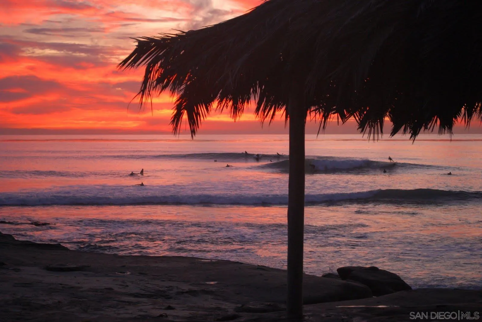 607 Arenas Street La Jolla, CA 92037 - Photo 36 of 37 a view of ocean view with large tree