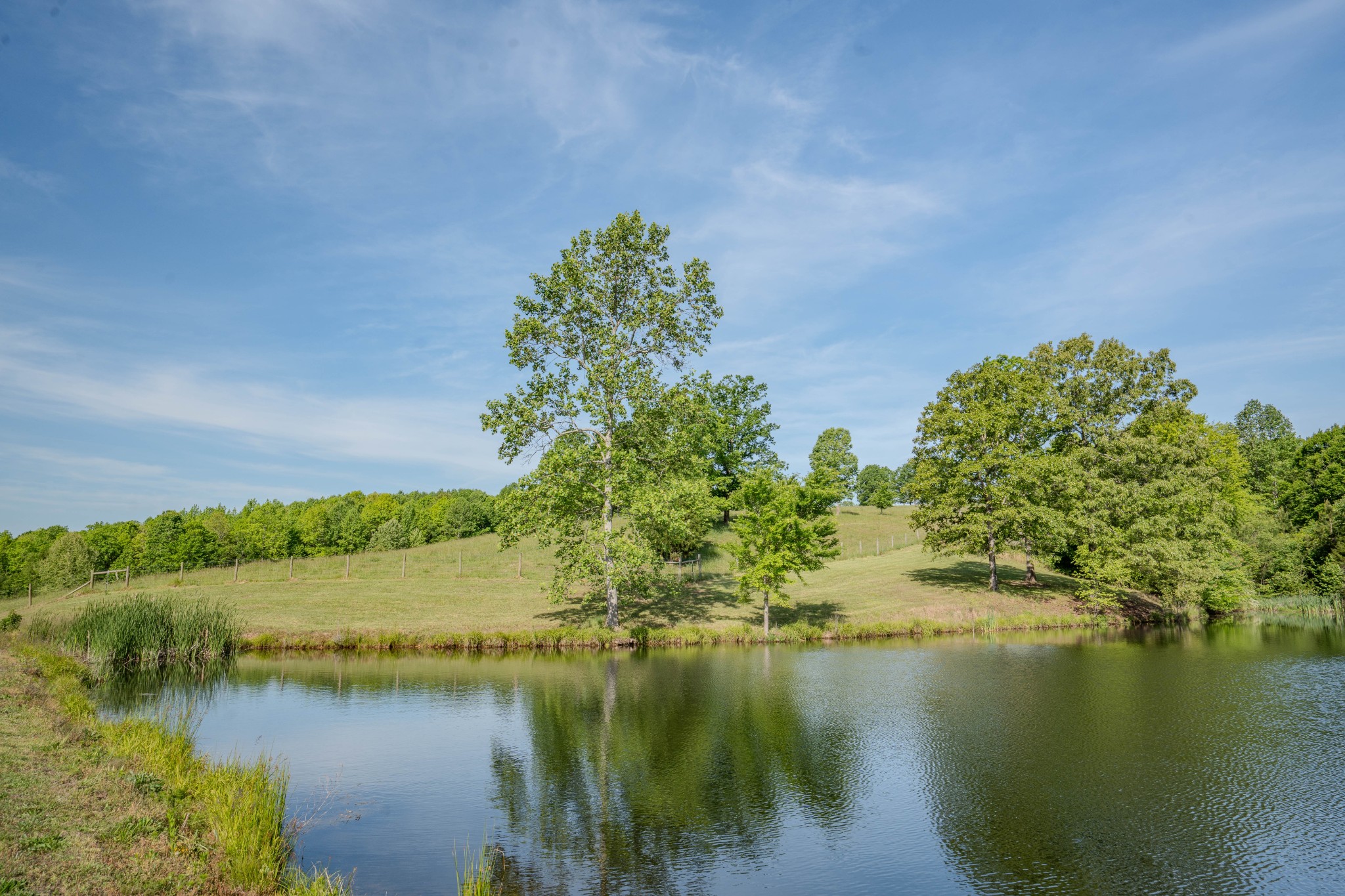 875 Waterloo Road Westpoint, TN 38486 - Photo 34 of 89 Gallery Image 34