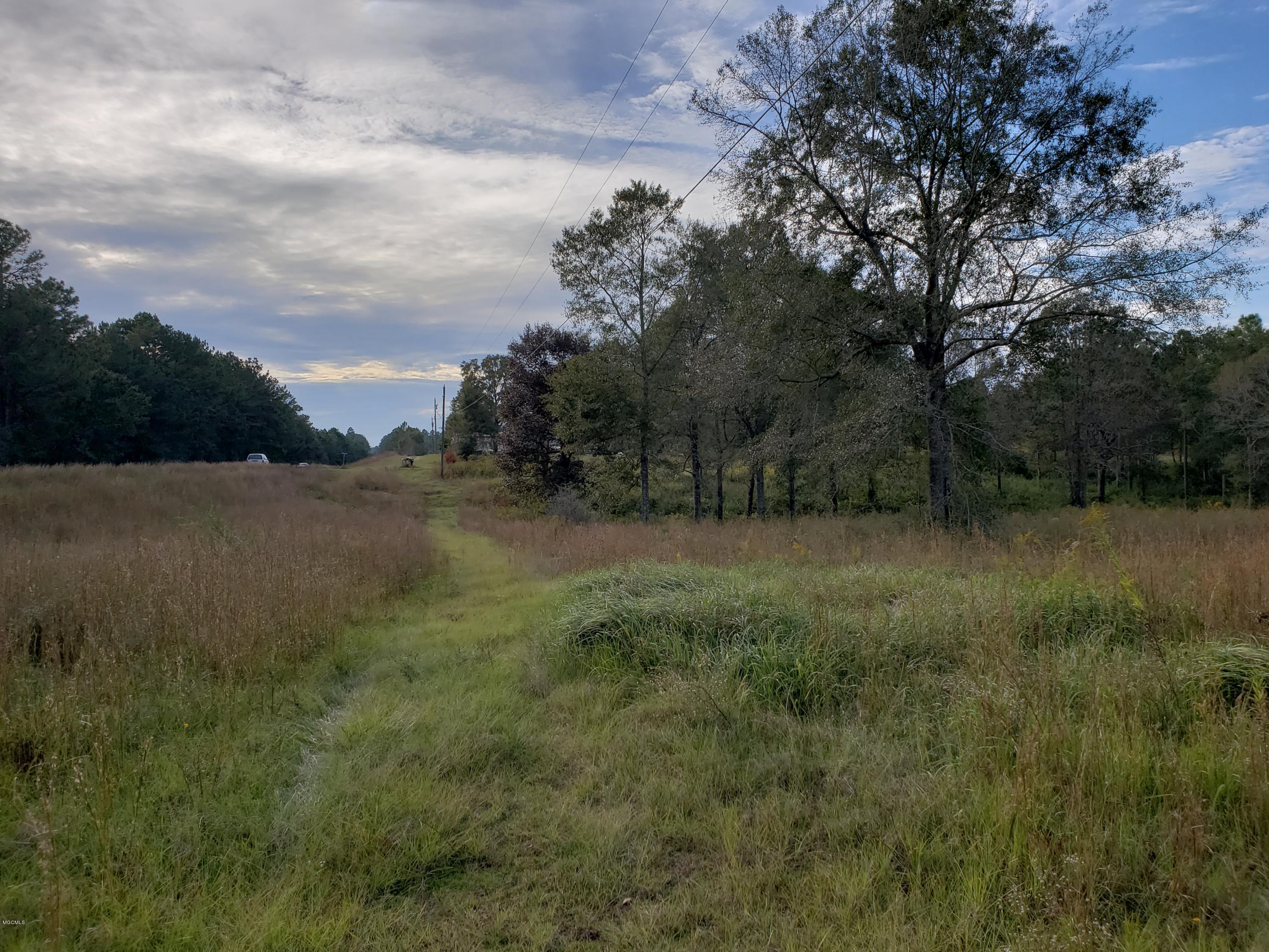0 Sammy Jo Road Lumberton, MS 39455 - Photo 3 of 7 20181024_162054
