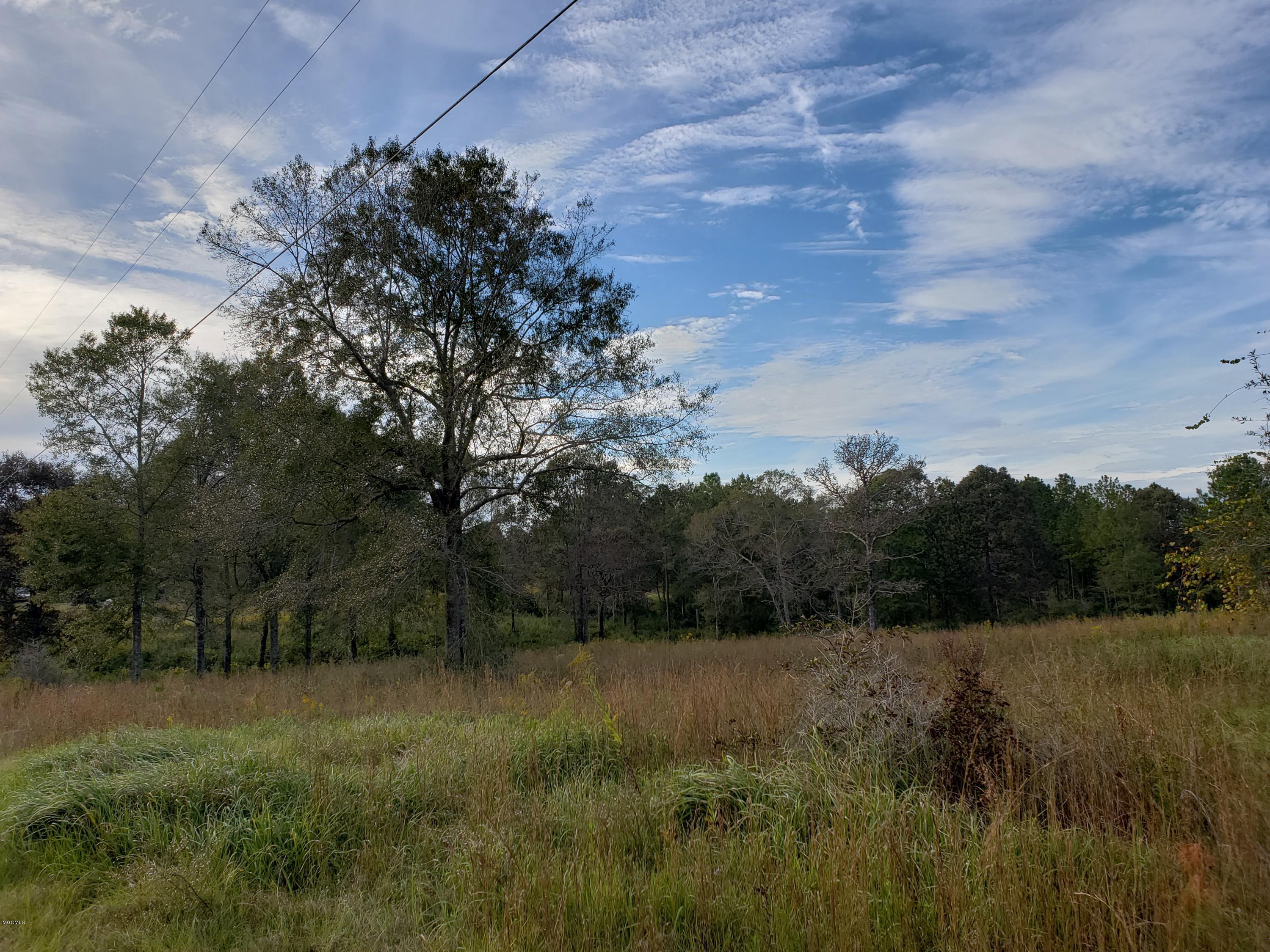 0 Sammy Jo Road Lumberton, MS 39455 - Photo 4 of 7 20181024_162050