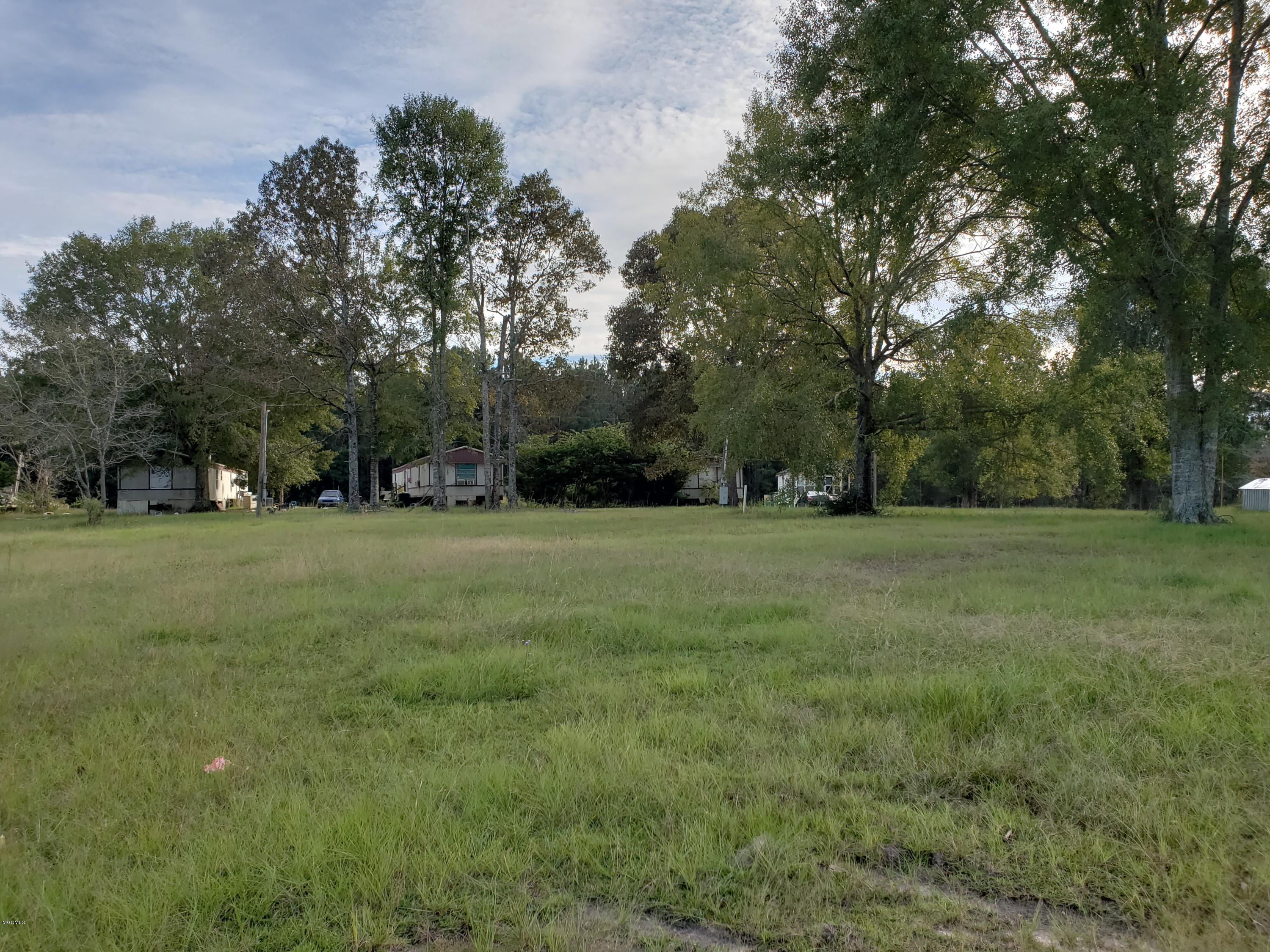 0 Sammy Jo Road Lumberton, MS 39455 - Photo 5 of 7 20181024_162337