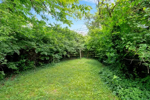 a view of a backyard with plants and large trees