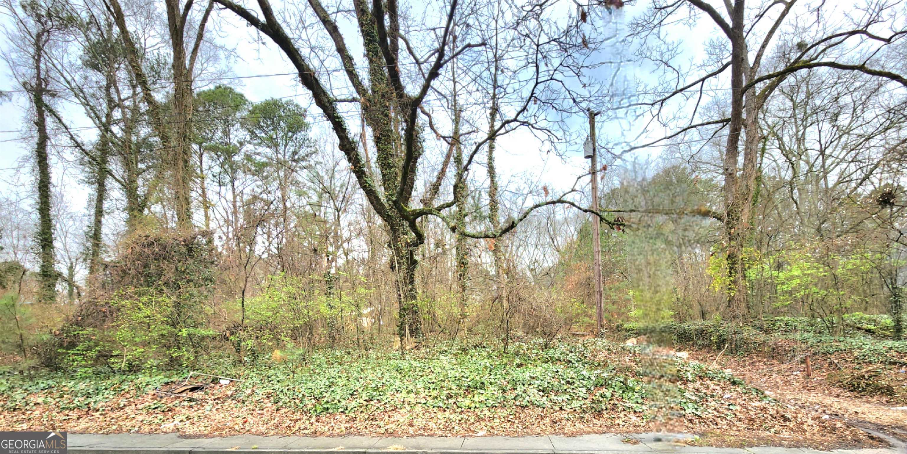 0 Jonesboro Road Southeast Atlanta, GA 30354 - Photo 1 of 5 Gallery Image 1