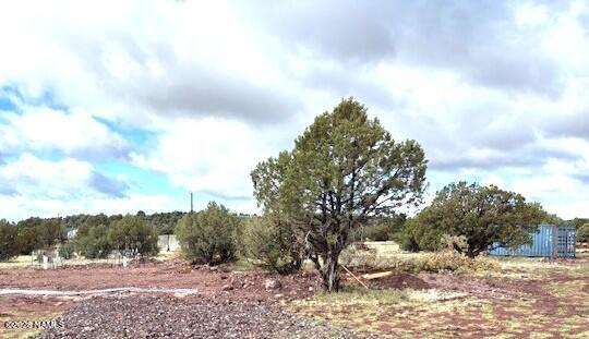 3744 Verde Road Williams, AZ 86046 - Photo 4 of 18 Cropped