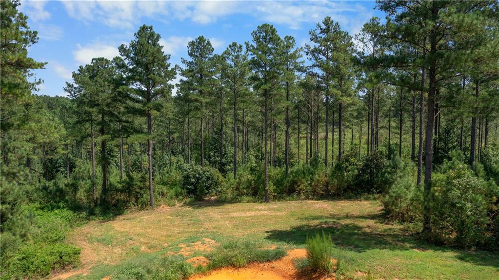 3390 Pleasant Valley Road Southeast Rome, GA 30161 - Photo 4 of 27 Gallery Image 4