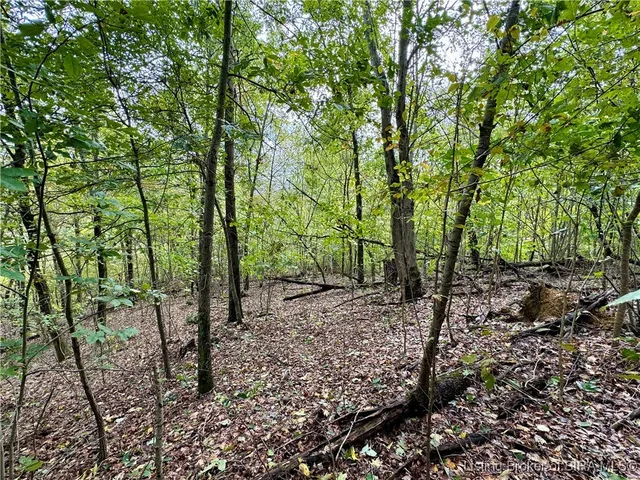 $85,000 | Off East Hurst Road, Pekin, IN 47165