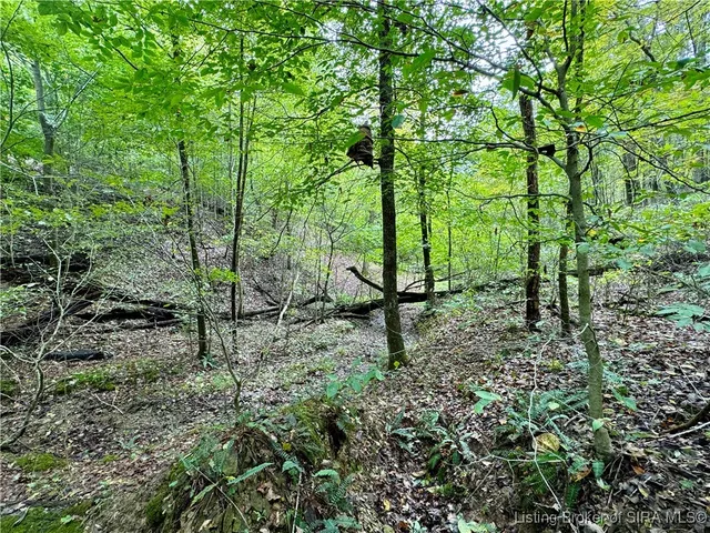 $85,000 | Off East Hurst Road, Pekin, IN 47165