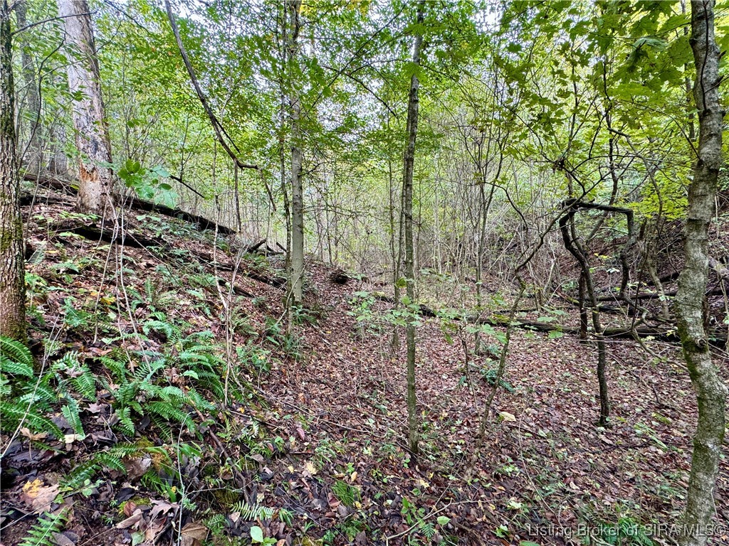 Off East Hurst Road Pekin, IN 47165 - Photo 21 of 33