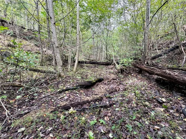 $85,000 | Off East Hurst Road, Pekin, IN 47165