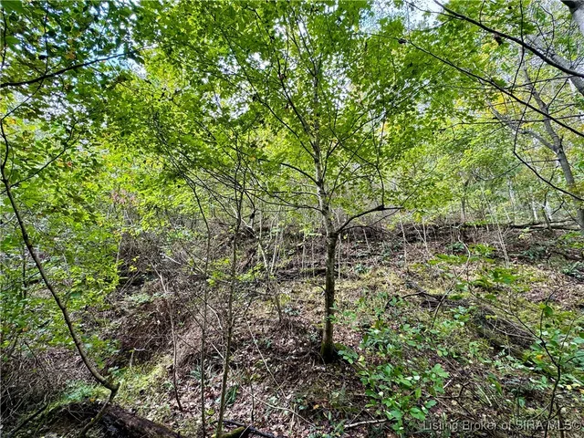 $85,000 | Off East Hurst Road, Pekin, IN 47165