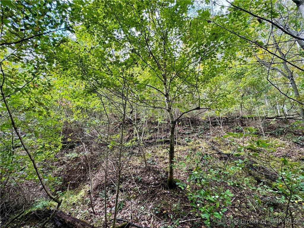 Off East Hurst Road Pekin, IN 47165 - Photo 23 of 33