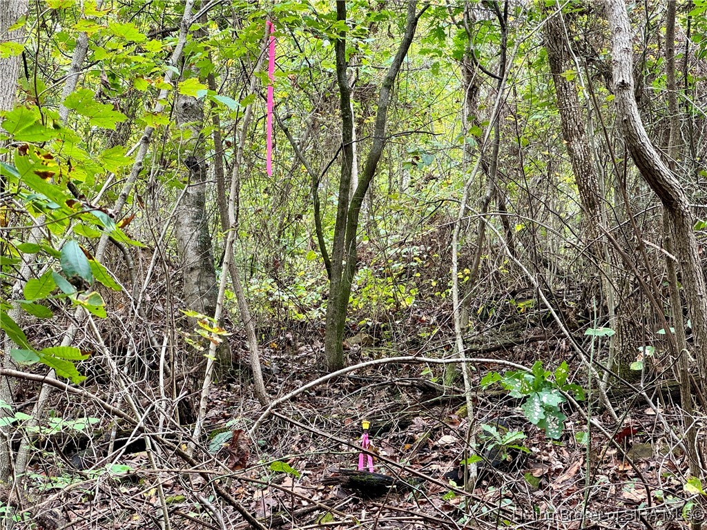 Off East Hurst Road Pekin, IN 47165 - Photo 25 of 33